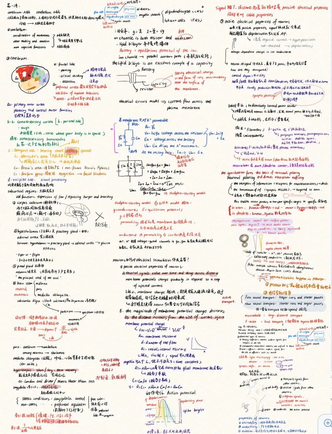 高校学霸笔记大赏！网友：果然是学霸的笔记我看不懂