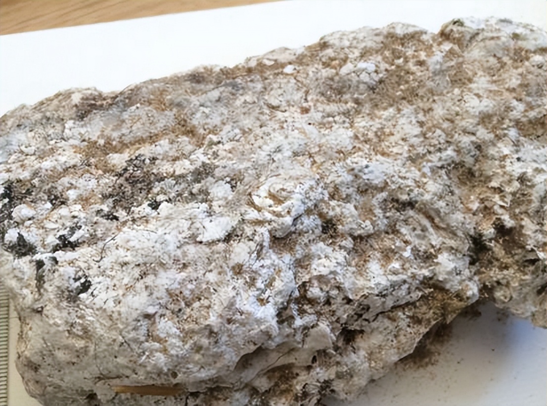 龙涎香一克多少钱(疑似龙涎香!