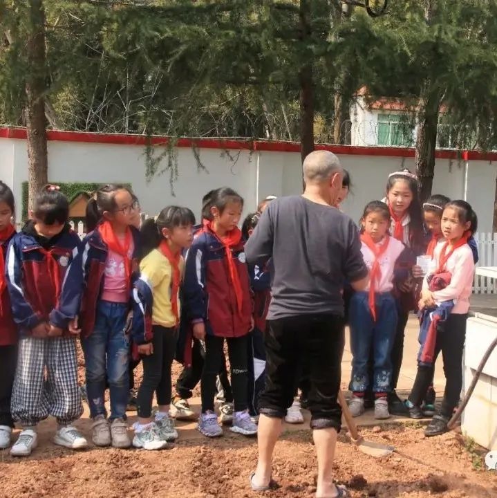 天府新区三星小学特色劳动课堂