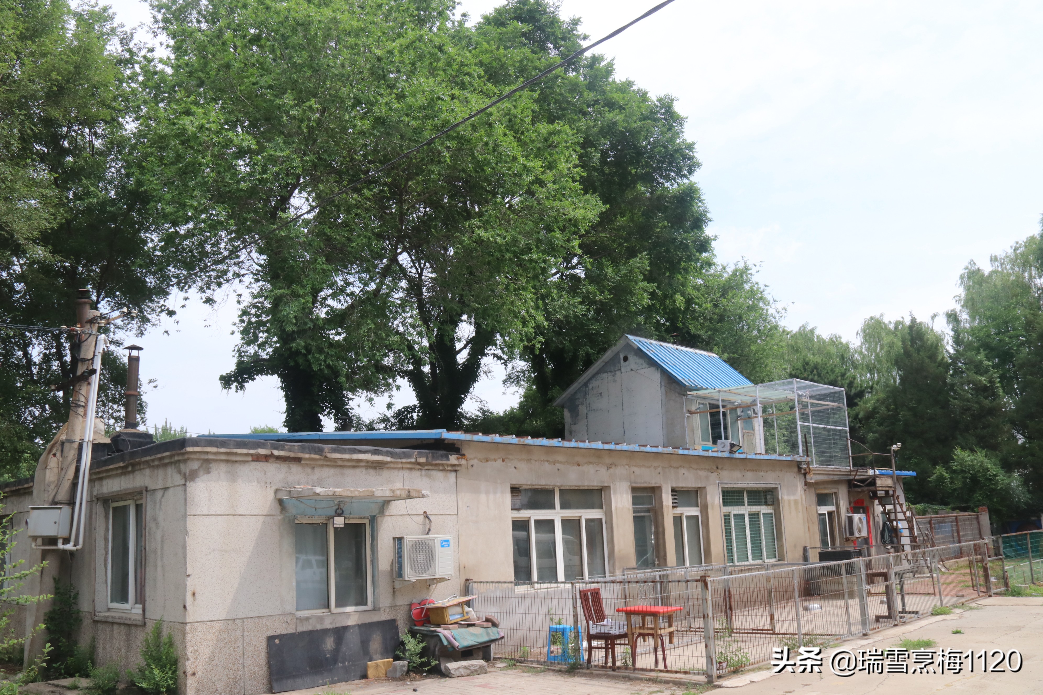 地名档案 | 沈北新区虎石台街道：宁王伏虎之地