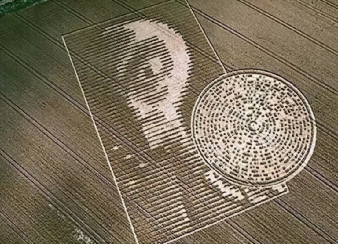 世界未解之谜"麦田怪圈"