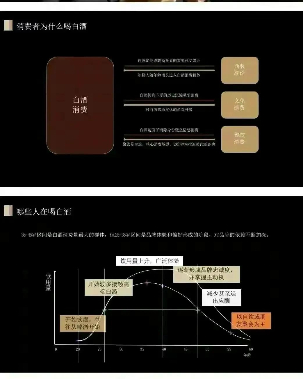 价值1000万的舍得酒业品牌战略规划策划方案（全案154页）