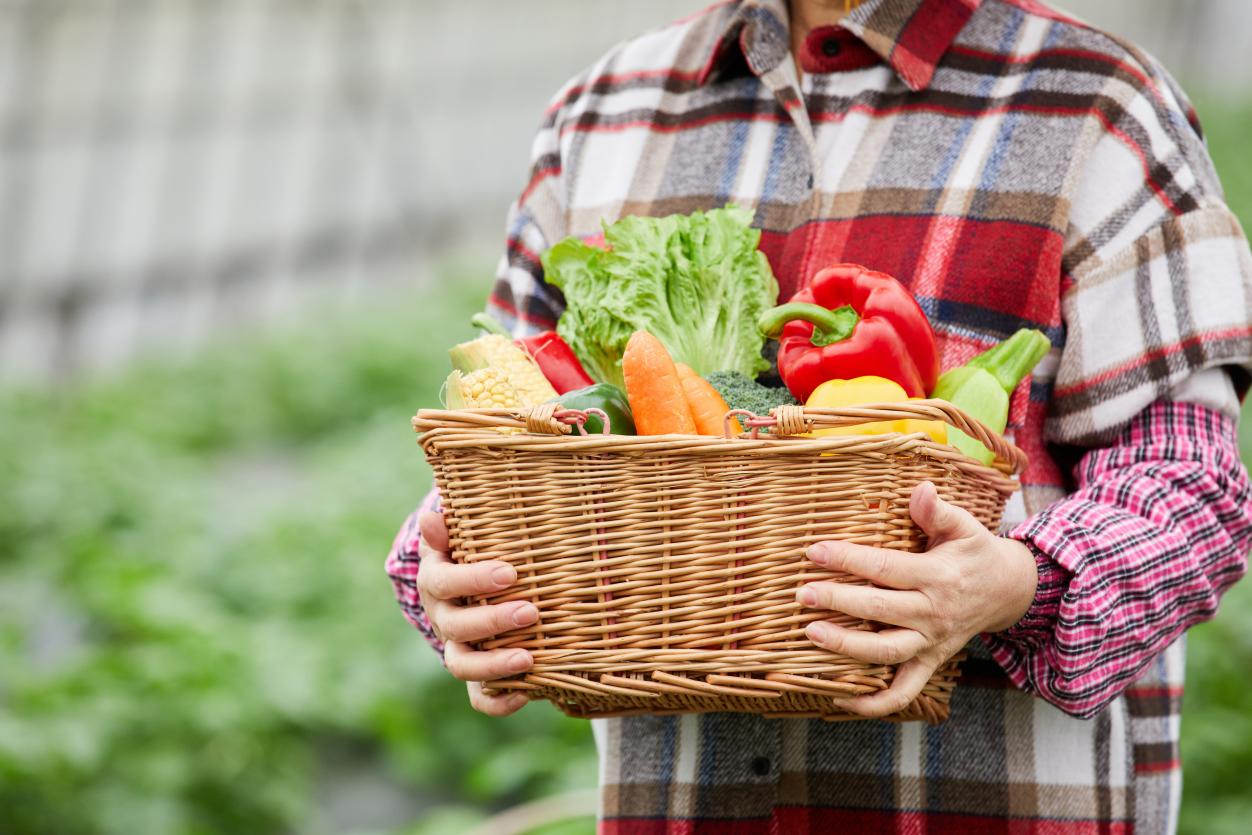 标准化物流发力，美菜提供优质食材供给服务