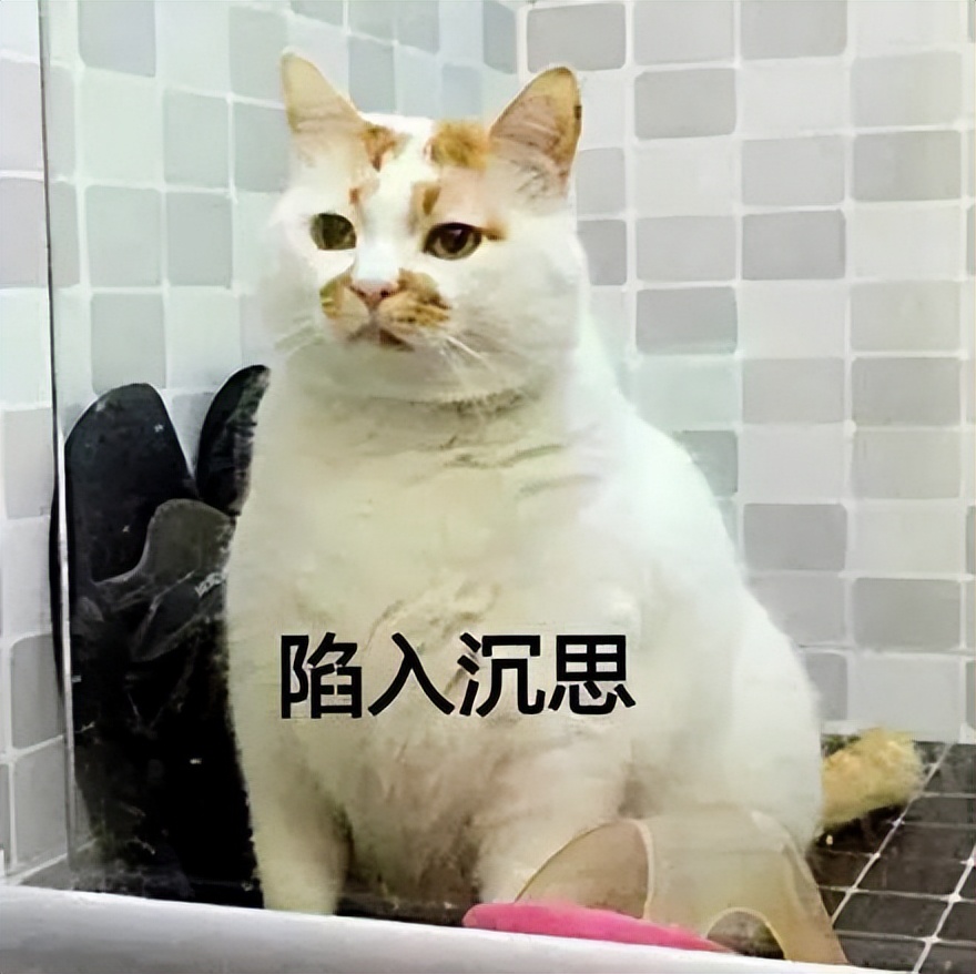 仅靠一个句式，我夸出了儿子的自驱力