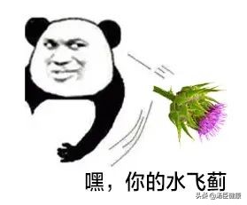 无数人爱喝的这种饮料，是怎样一步步毁掉肝脏的？