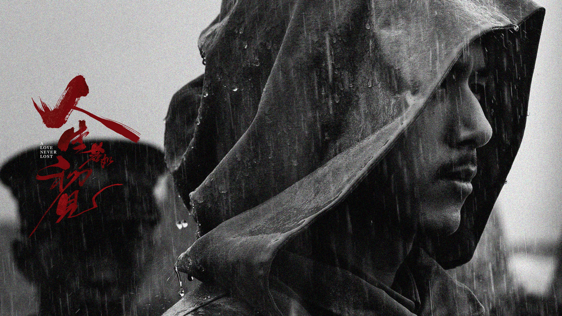 40集历史剧《人生若如初见》今晚开播，12位实力派坐镇，该火了