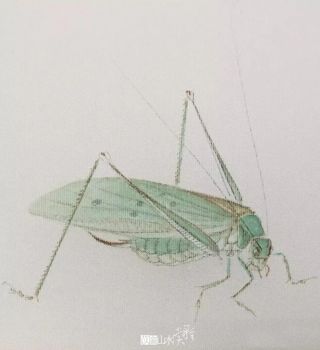 款款翩翩，不疑春深画中