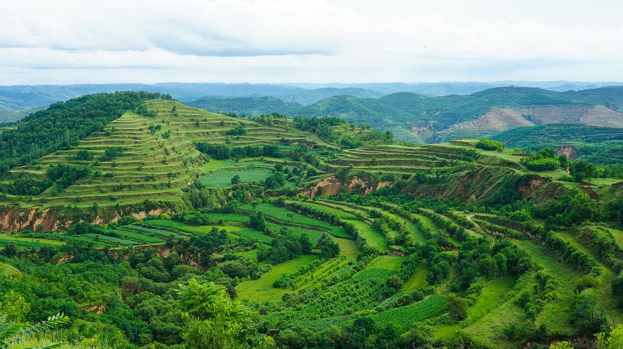 黄土高原上的植被变少了,进入黄河的泥沙自然也就变多了,这一点也能从