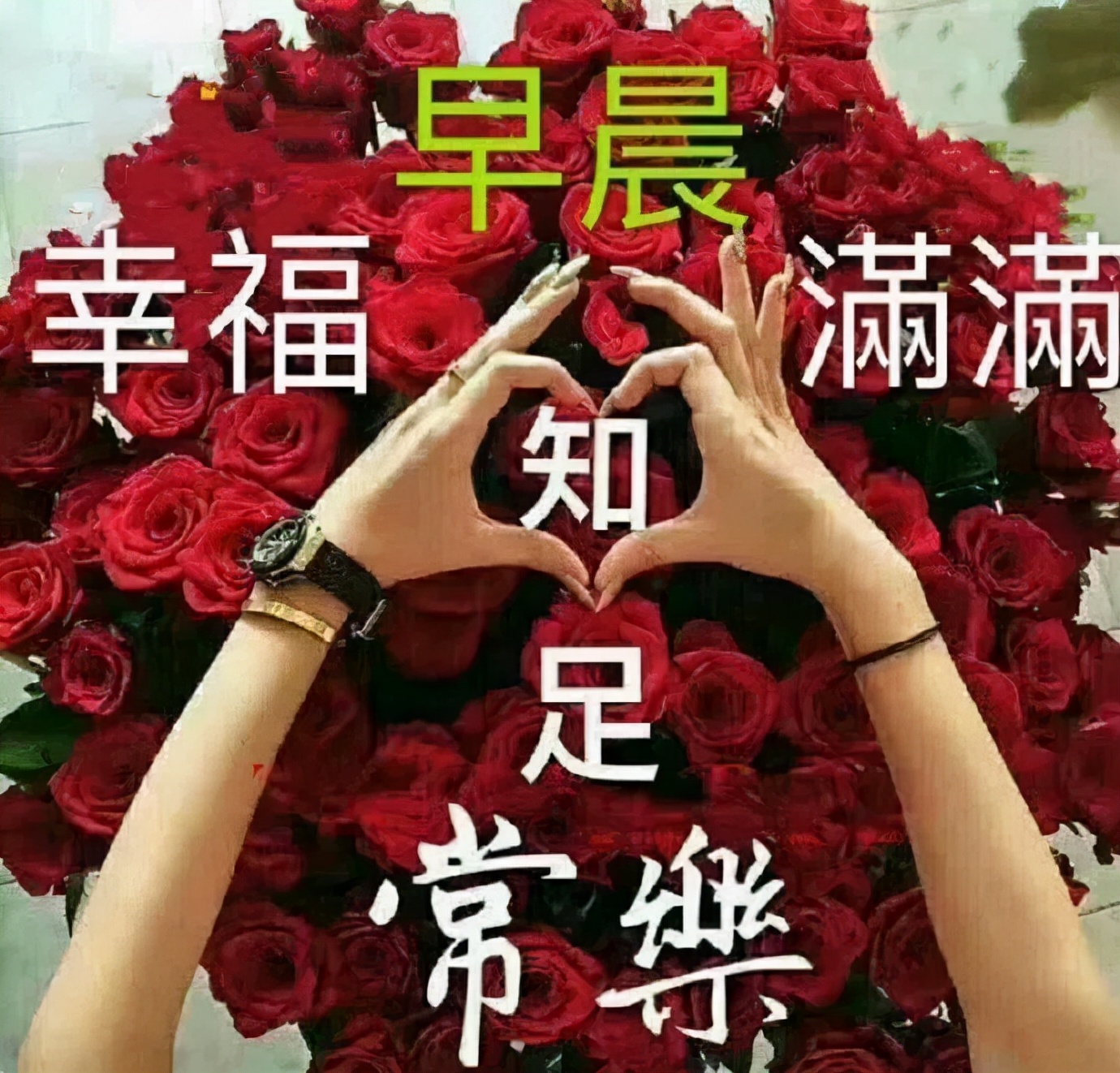 清晨的第一缕微风，愿你像微风一样怡人舒爽，朋友，早安