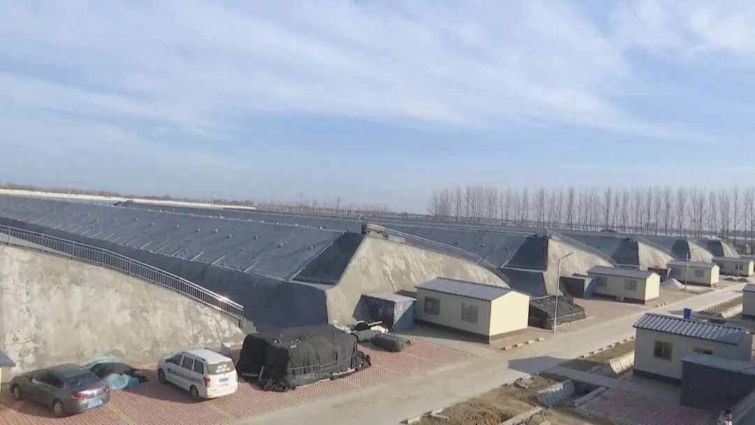 好品山东｜西瓜随便吃，种子得留下！这是啥操作？