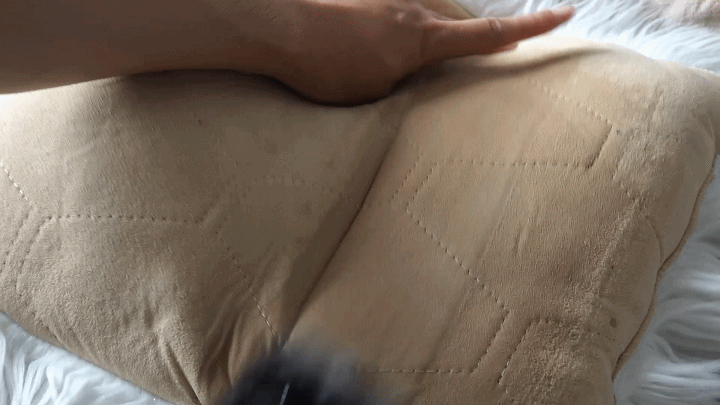 宝藏单品！必胜银骑士布艺清洗机评测，让家中焕然一新