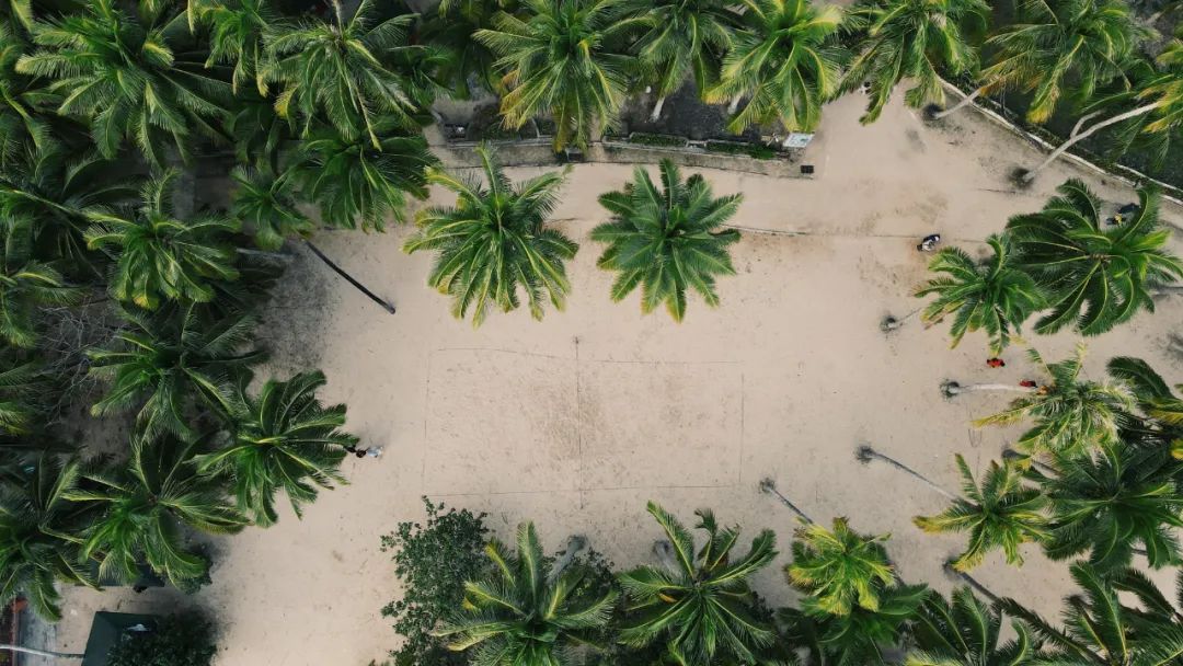 妈耶~被这儿的海鲜骗到不想回家了