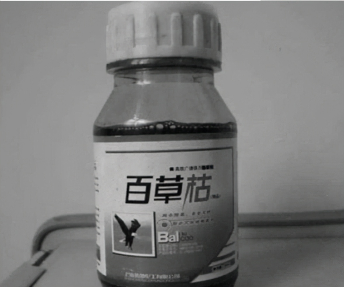医生辞职报告怎么写,