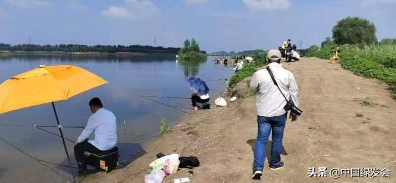 污水偷排水库？呼吁有关部门重视水质监测｜北京沙河湿地公园建设