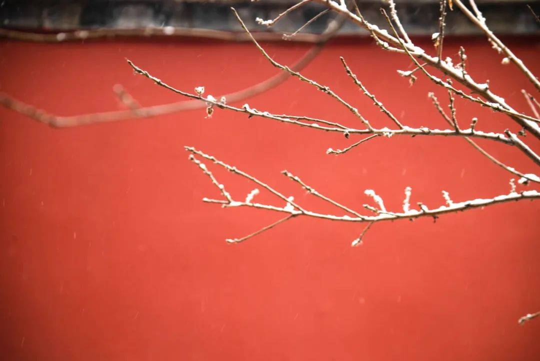 漫天飞雪的诗句（分享10首描写雪景的最美诗词）