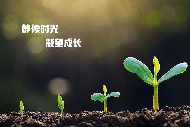 学会等待，静候花开—用你平静的内心，去守候终将为你绽放的美丽