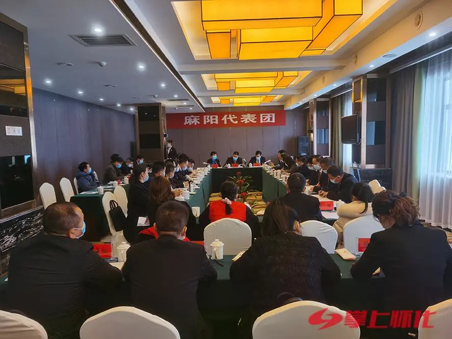 王建球参加麻阳代表团审议时指出 大力弘扬脱贫攻坚精神 推动县域经济社会发展再上新台阶
