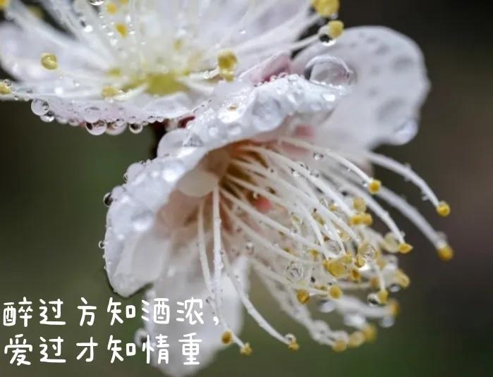 爱如星辰，照亮你我心间，唯愿与你共度每一个晨曦与黄昏。