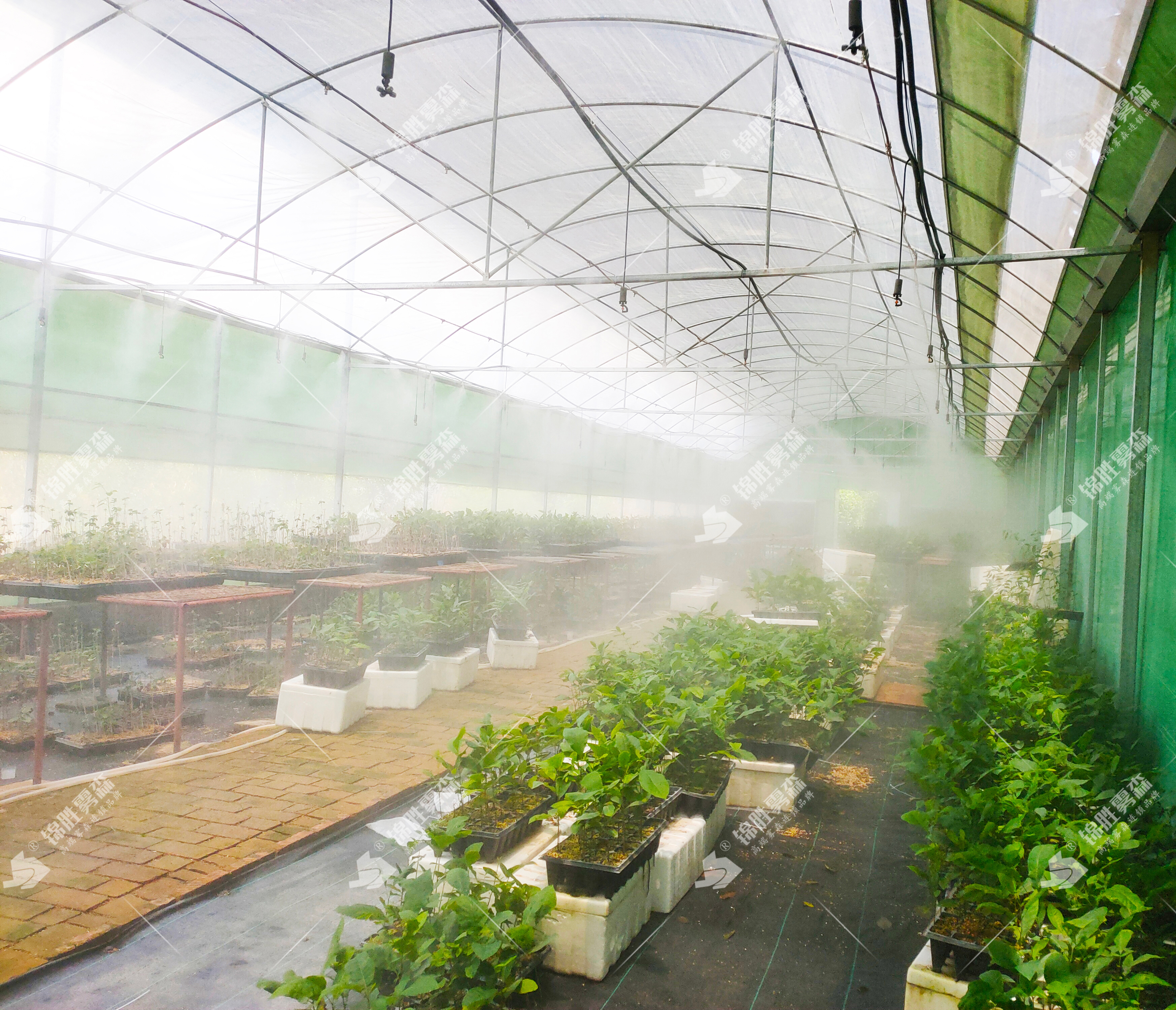 ���Ҵ����ǻ�ˮ����ʪ���£�ע�ܡ�������ˡ����衪����ʤ��ɭ