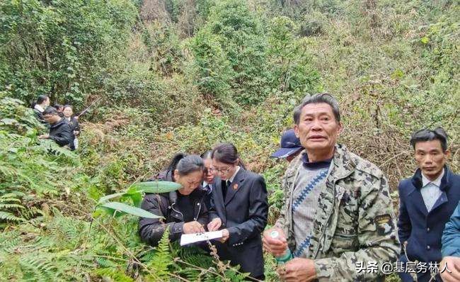 村委会与林场林地权属争议纠纷一案以案释法案例