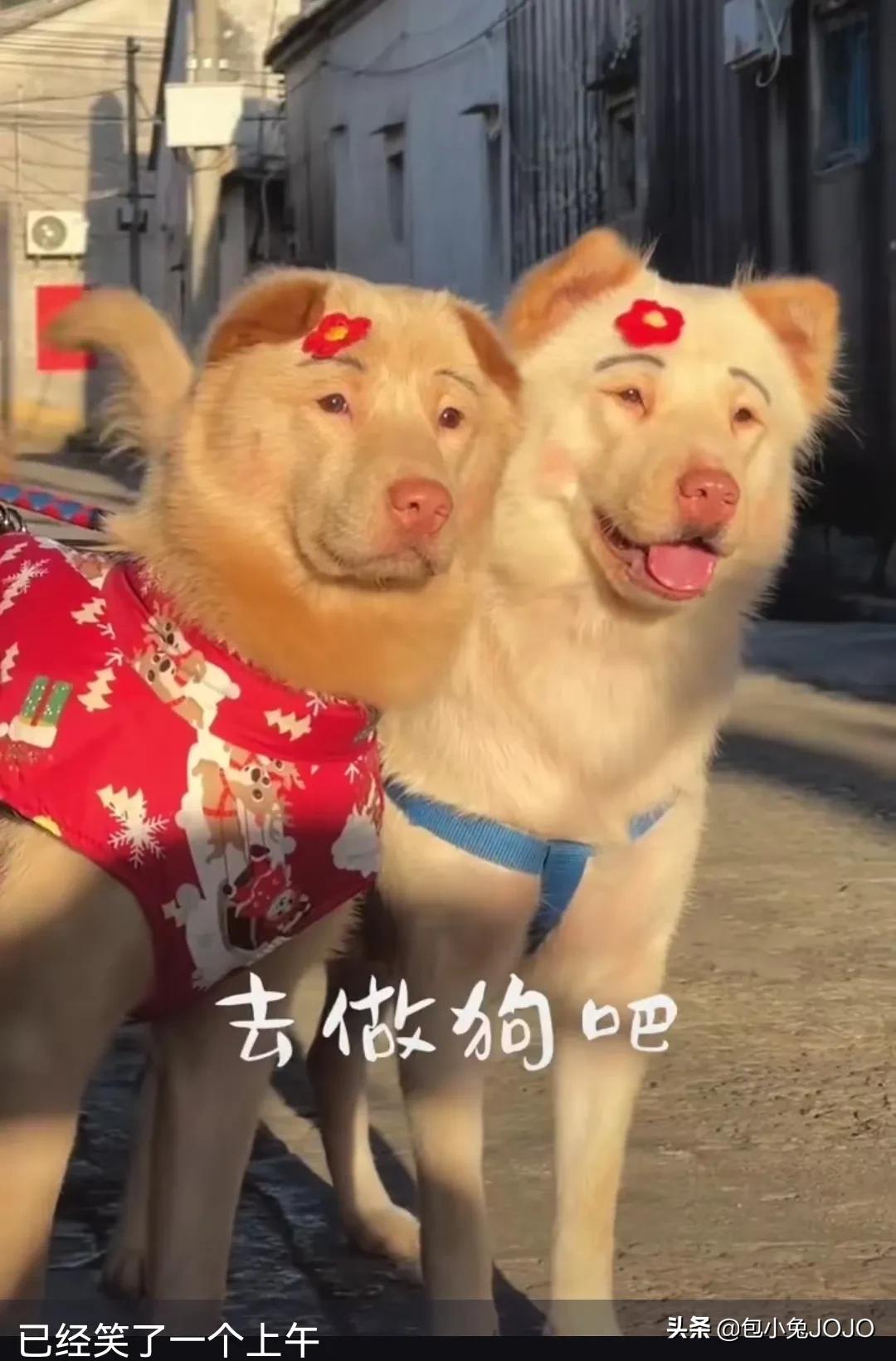 惊艳又治愈的电影台词文案｜熙熙攘攘人生，悲悲喜喜自渡