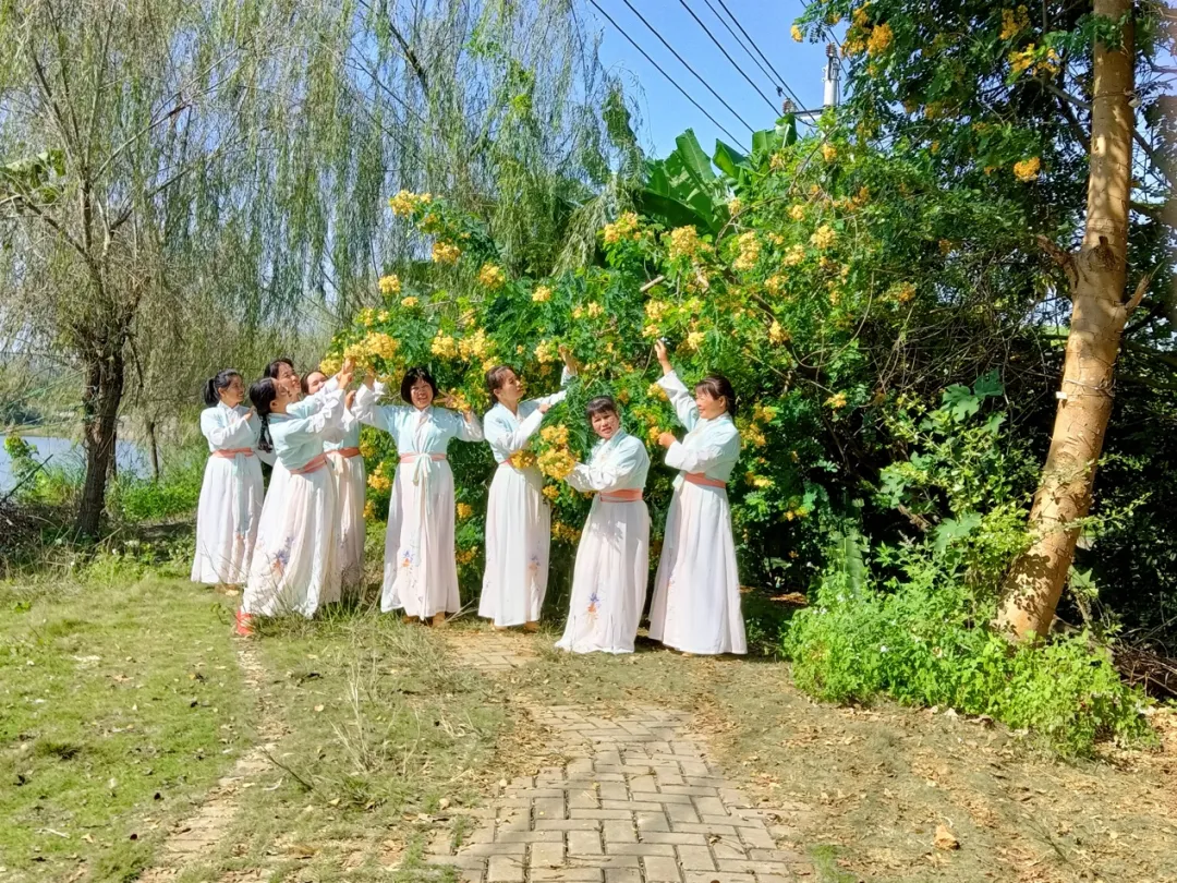 ​方寸之间，看见生活｜在田埂上跳舞的女人
