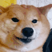 深度解析 | 哲学专业的考研现状（上）