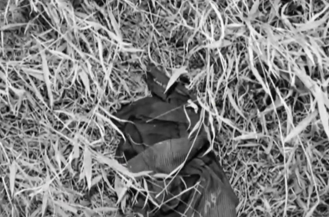 2004年，河南大学毕业生遇害死因成谜，警方追查11年终于缉拿真凶