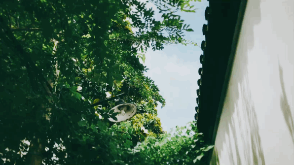 美好治愈的句子