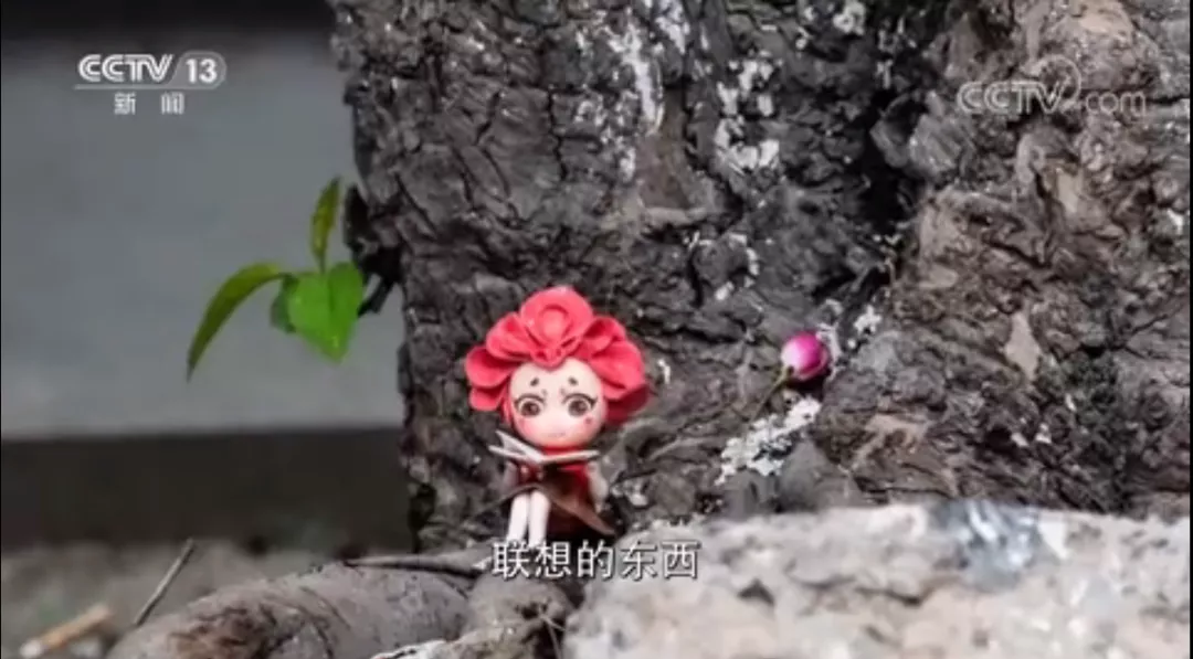 撒贝宁现场点赞！今年，天津大学8次“亮相”中央电视台，频频高光！