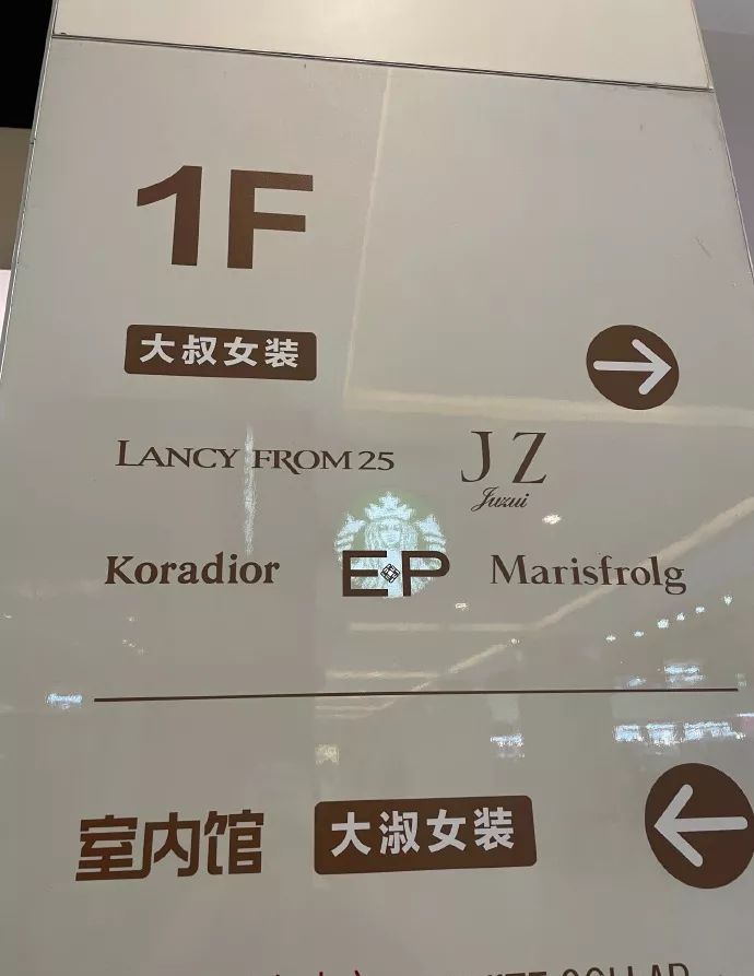 小猫的生日礼物（猫咪过生日送什么礼物）