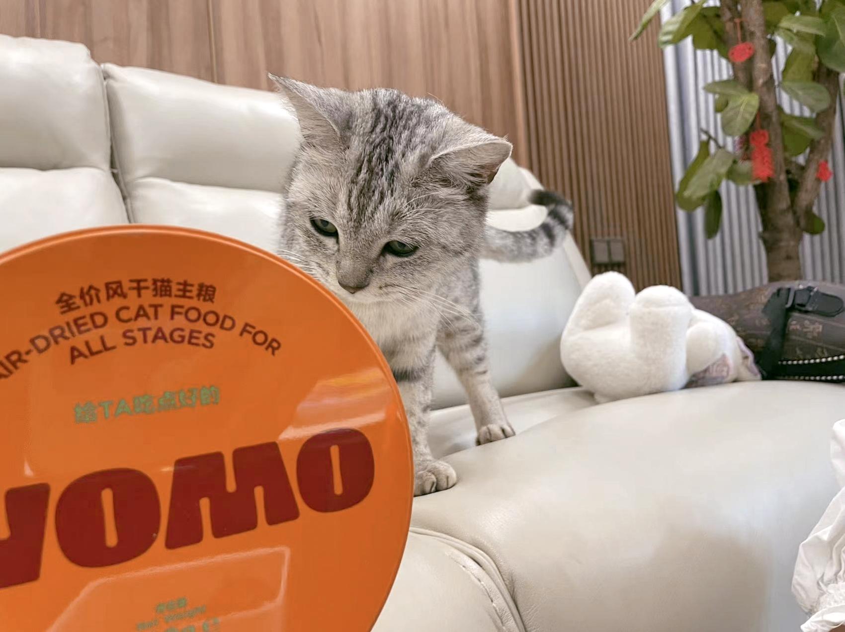 猫粮也有风干的？WOMO全肉猫粮让主子吃点好的
