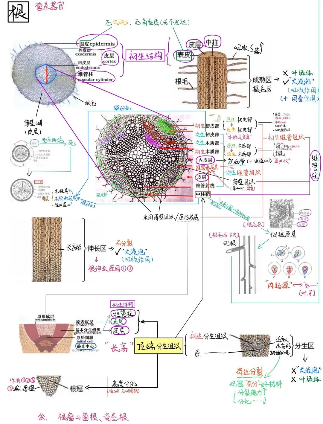 高校学霸笔记大赏！网友：果然是学霸的笔记我看不懂