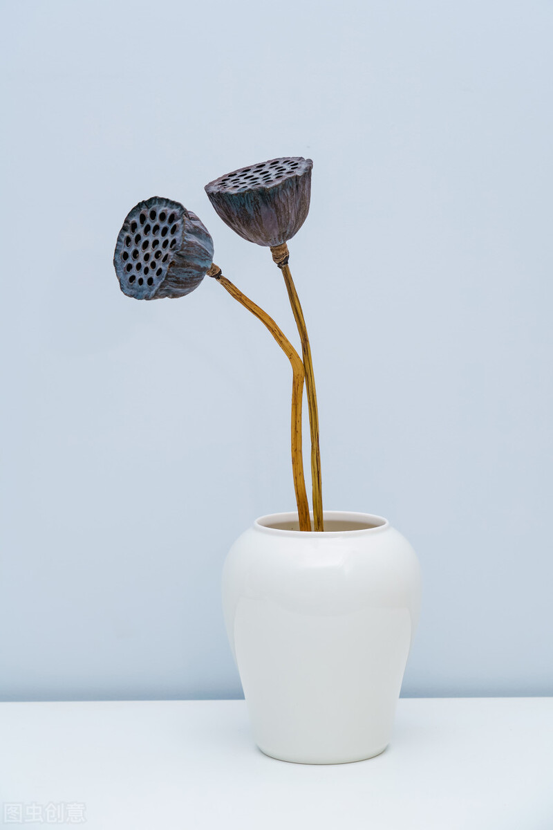 心香禅意佛系图片,唯美意境,净化心灵,静心禅语