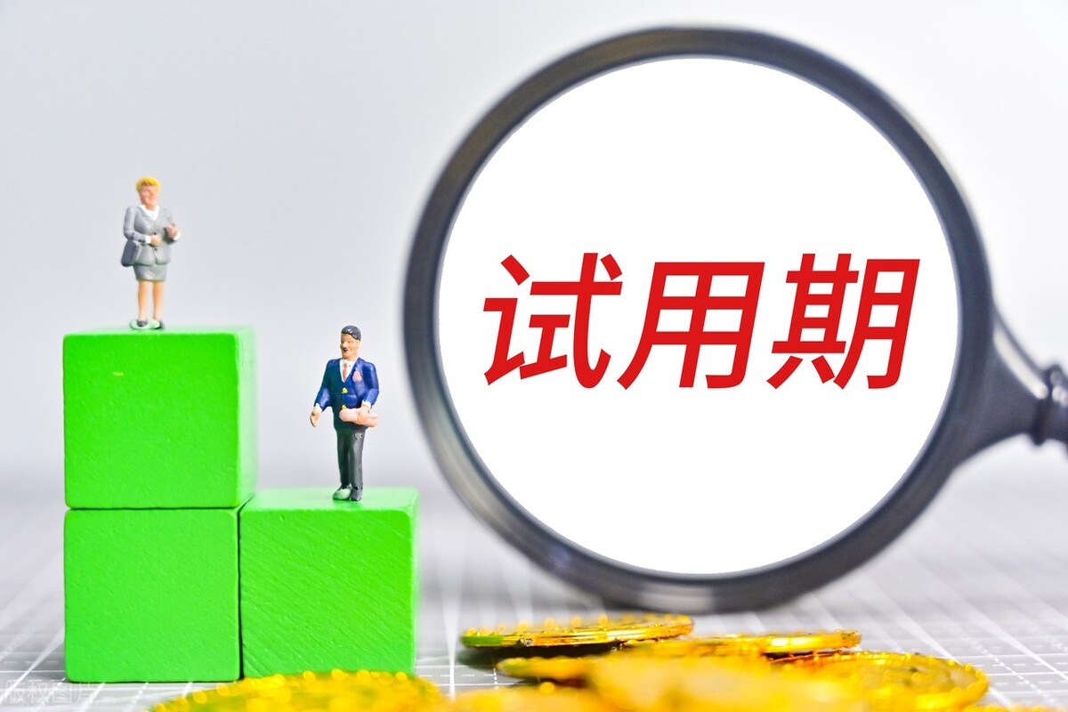 个人专业技术工作总结（试用期转正的个人总结精选）