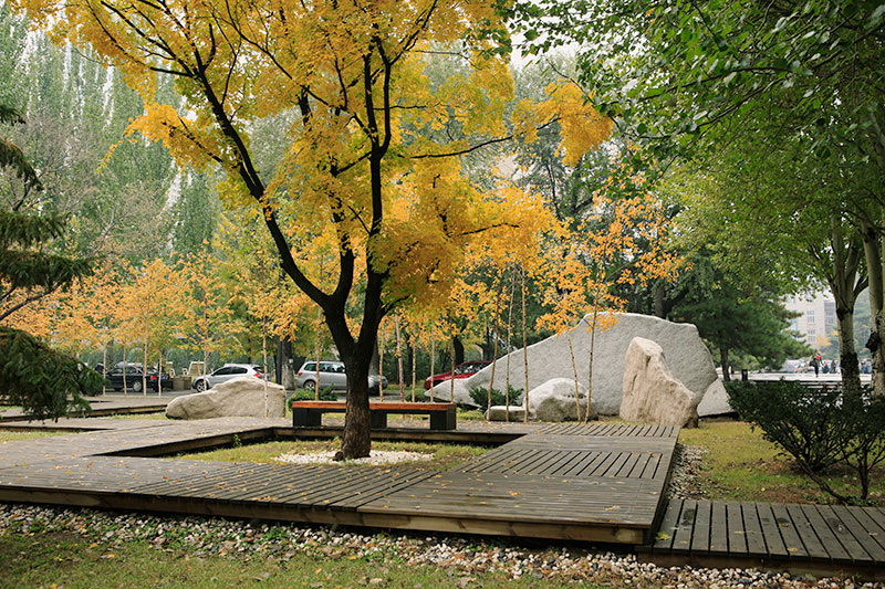 解读鲁迅美术学院2022年本科招生办法，释放出哪些重要信息？