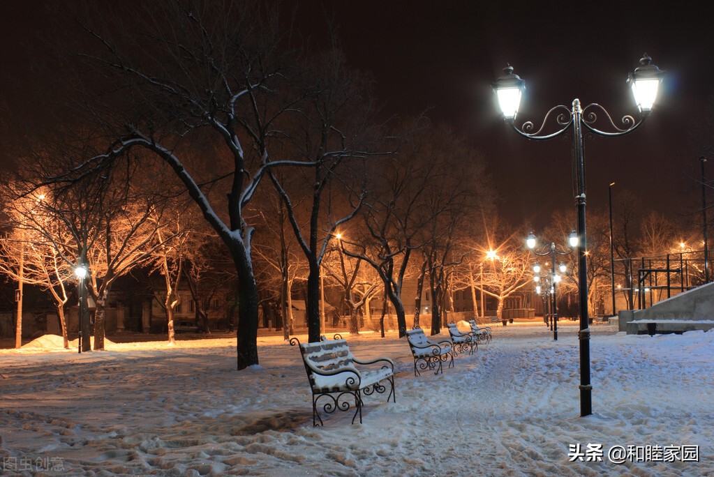 寒夜，灯光代替了星光，雪花代替了春花，予我一路温柔