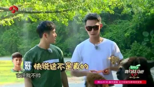 看着矮，实际高！这7位男星的身高，一个比一个让人意外