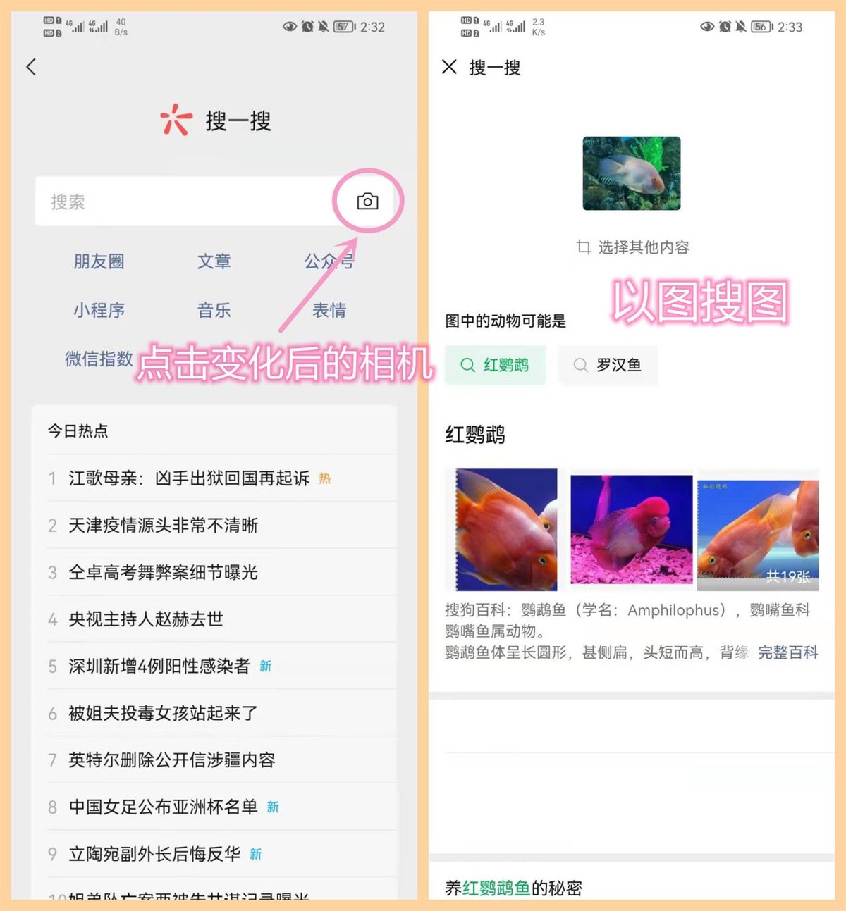 终于等到了！微信8.0.18正式版发布：新增多个实用功能