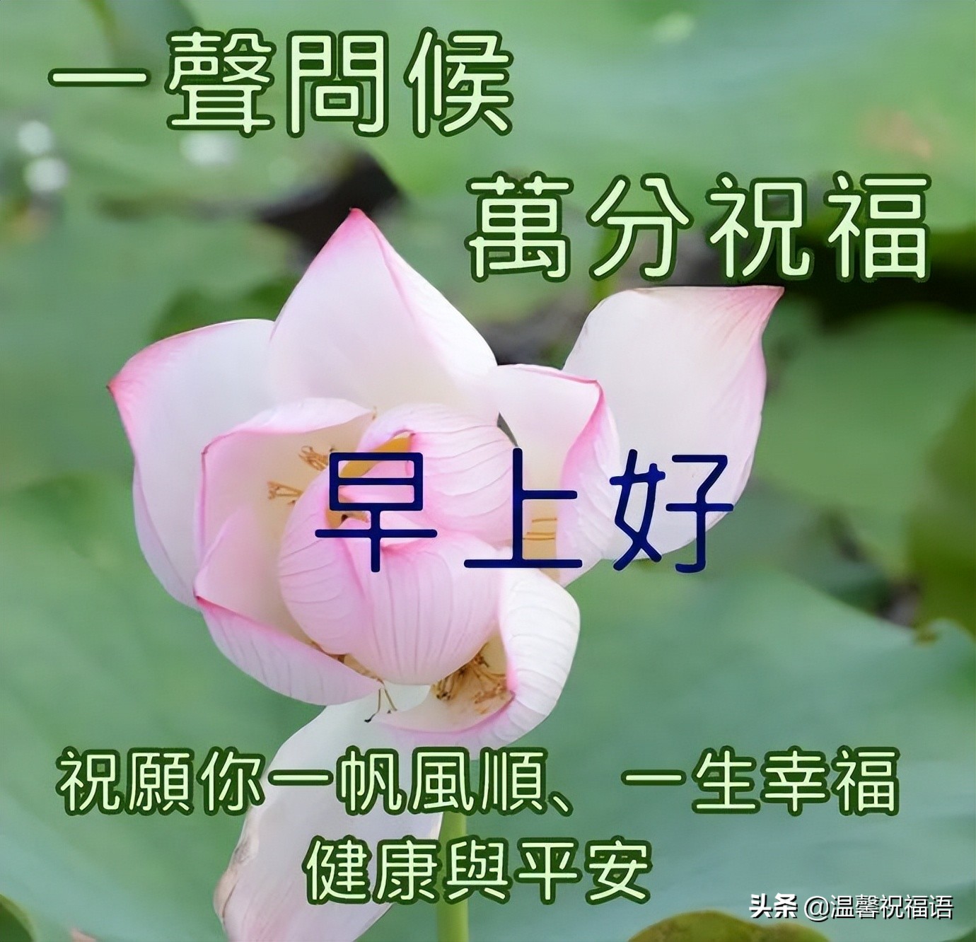 3月31日清晨早上好图片问候语，愿您开心分分秒秒，幸福岁岁年年