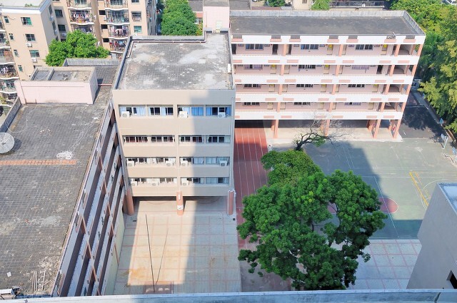 广东最好的大专院校（分享4所广东省办学水平最高的大专）