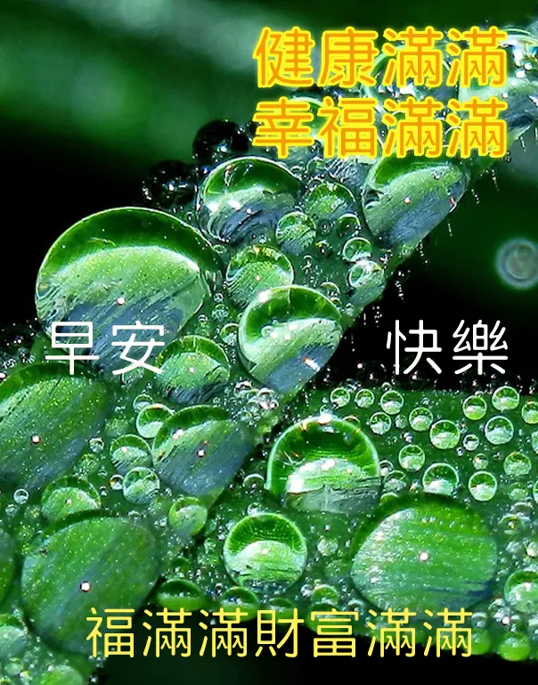 生活不要安排得太满，人生不要设计得太挤，早安