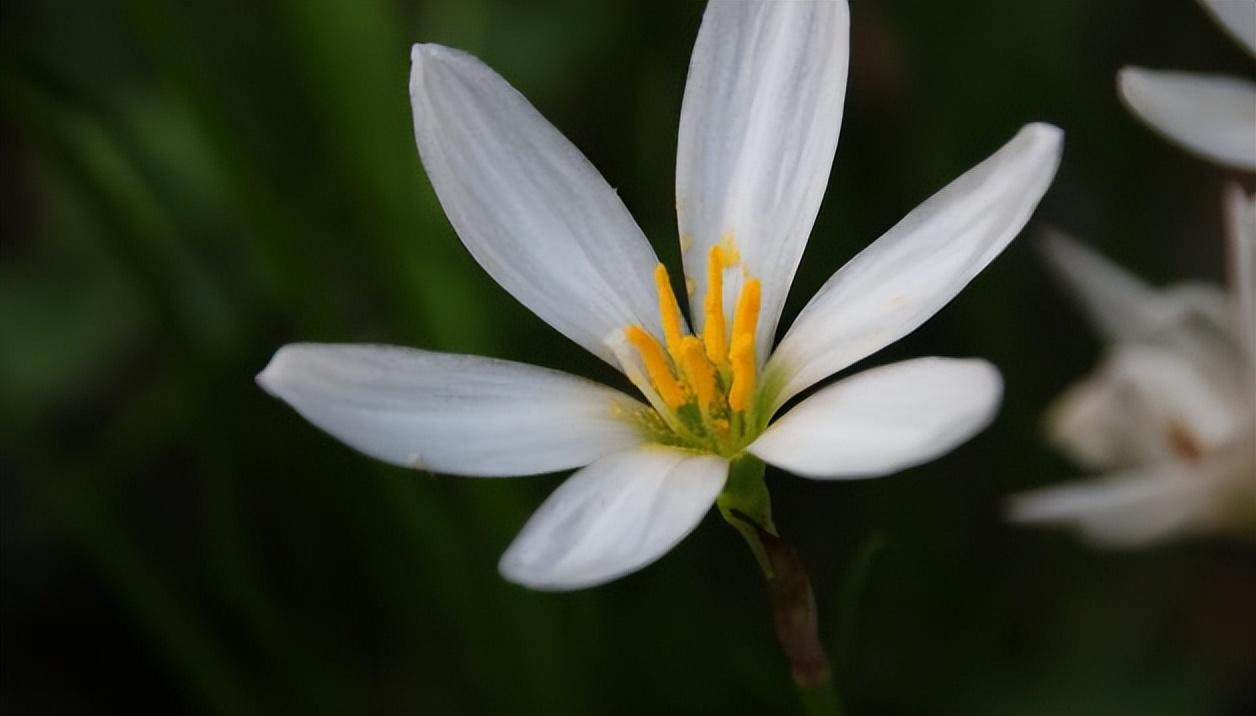 真正厉害的人，是能够“结交小人”的人