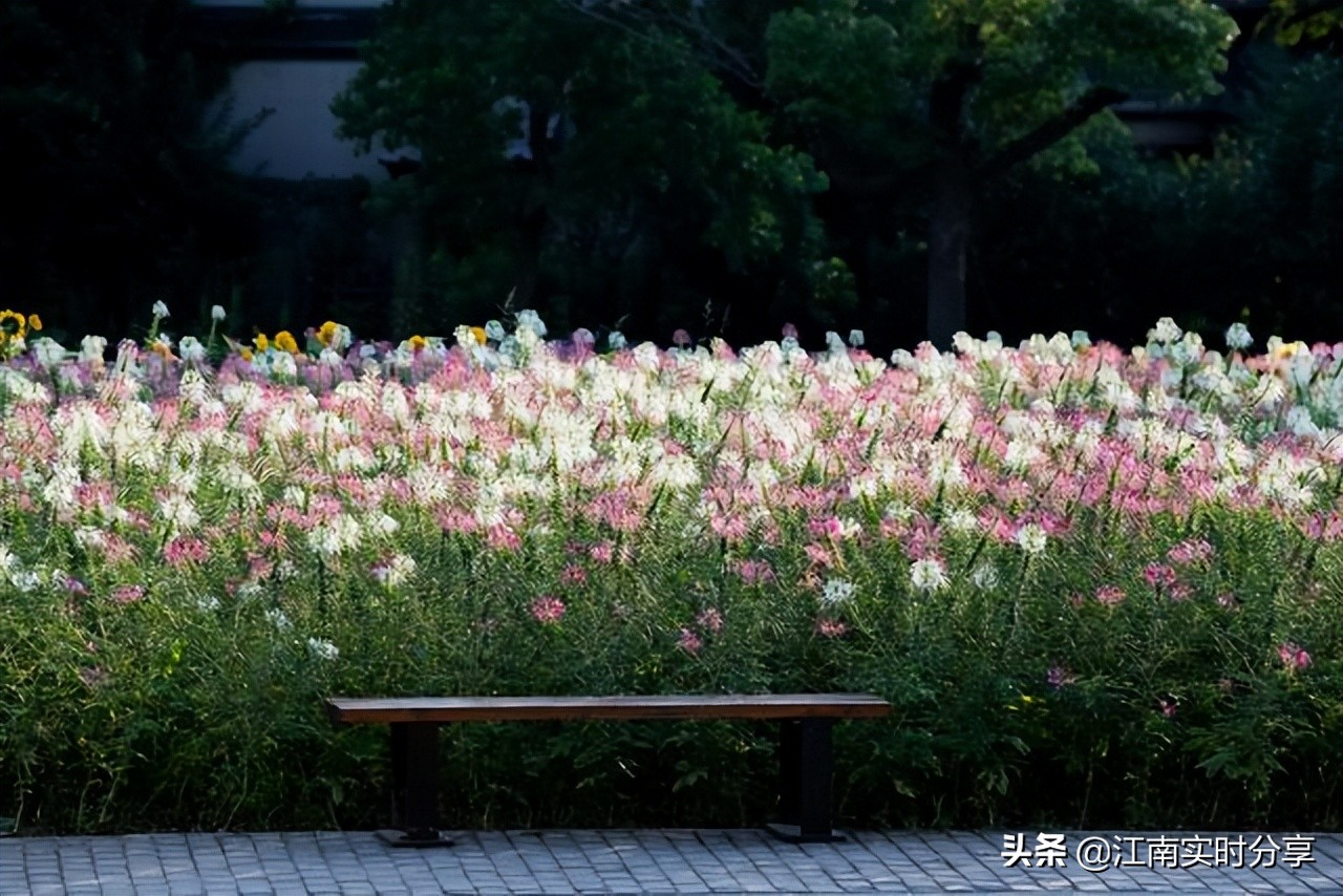 无锡这六处景点，每一处都带给你宫崎骏动画中，那份初夏的恋爱感