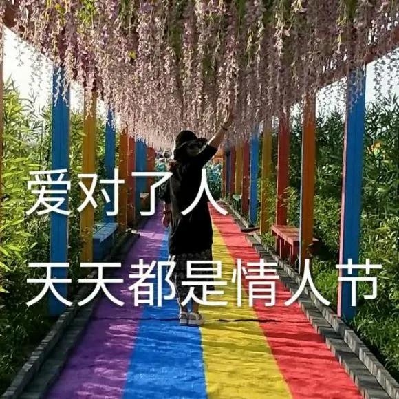 情人节的六个礼物——爱满家书（91)