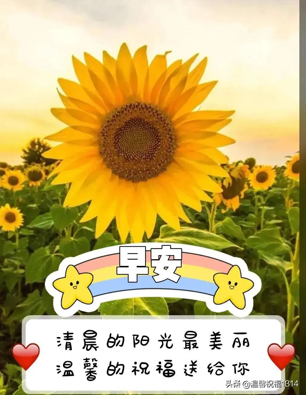 朋友圈群发早安祝福文字图片，清晨暖心的早上好问候语句