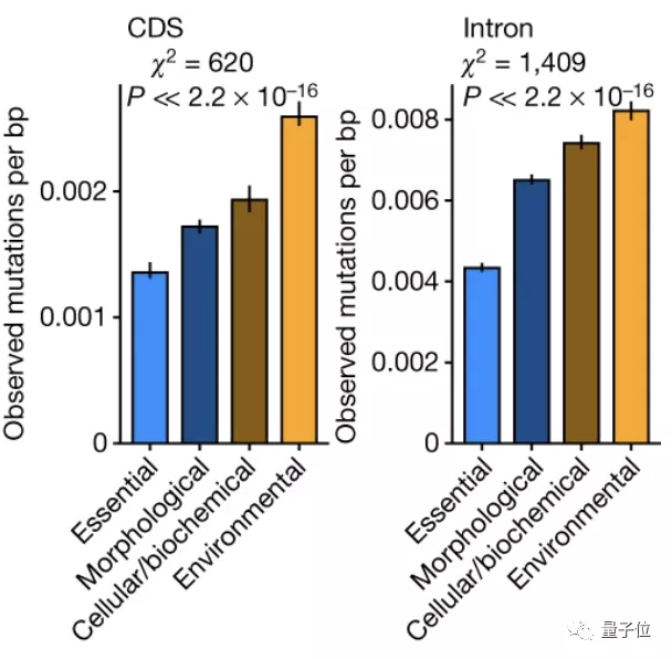 基因突变不是随机的？！Nature最新OO挑战进化论