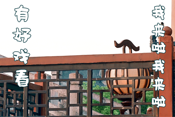 《梦华录》池衙内成功出圈，代旭该火了吧