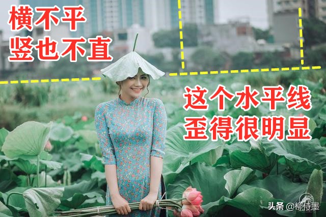 荷花盛開正當時，人像攝影怎么拍？4個要點拍出清新優(yōu)雅美