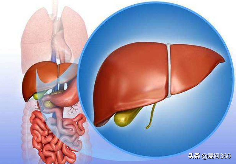 养肝的最佳时节到了，一定要注意这些事情，对身体好处很多